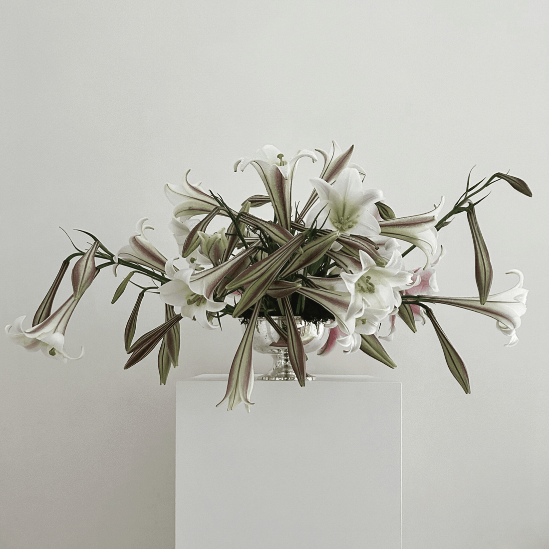 Elegant white green floral arrangement art by castor presenting hair claw clips durable, lightweight, and perfect for securing all hair types. Ideal for effortless everyday hairstyles.