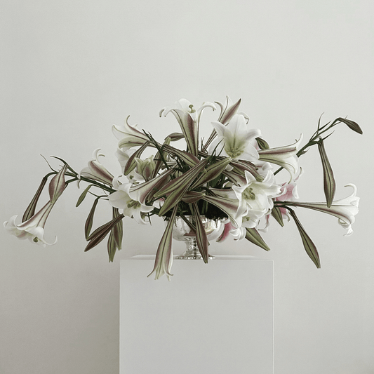 Elegant white green floral arrangement art by castor presenting hair claw clips durable, lightweight, and perfect for securing all hair types. Ideal for effortless everyday hairstyles.