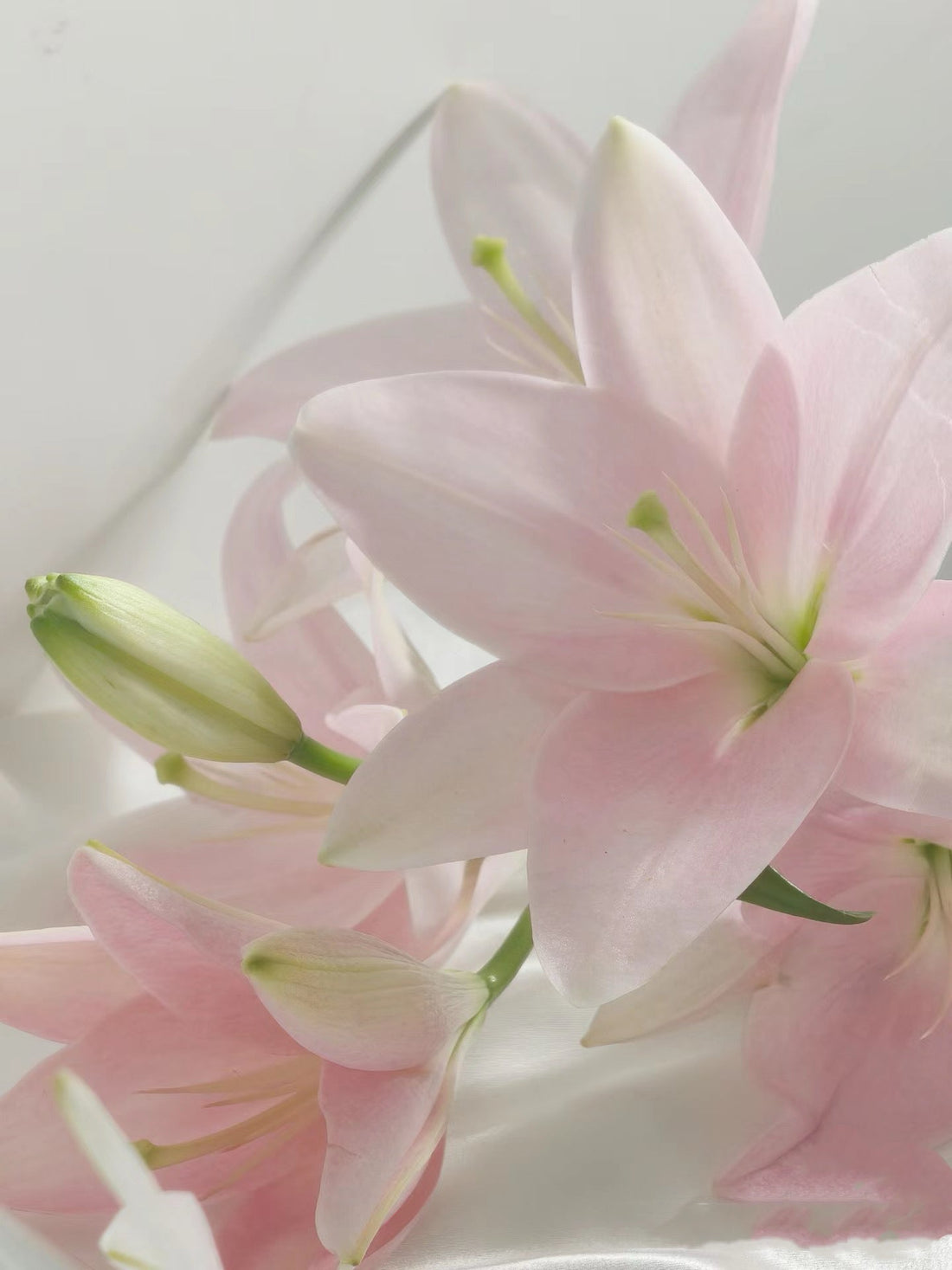Crown Yourself Cozy: How Hair Accessories Elevate Your Homebody Bliss