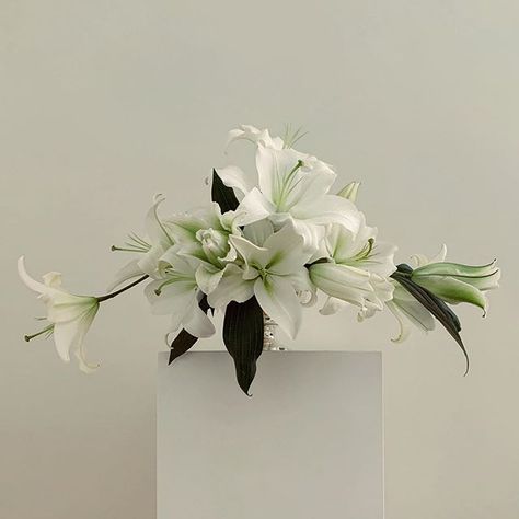 Elegant white lily floral art by Lisa Cooper presenting hair claw clips durable, lightweight, and perfect for securing all hair types. Ideal for effortless everyday hairstyles.