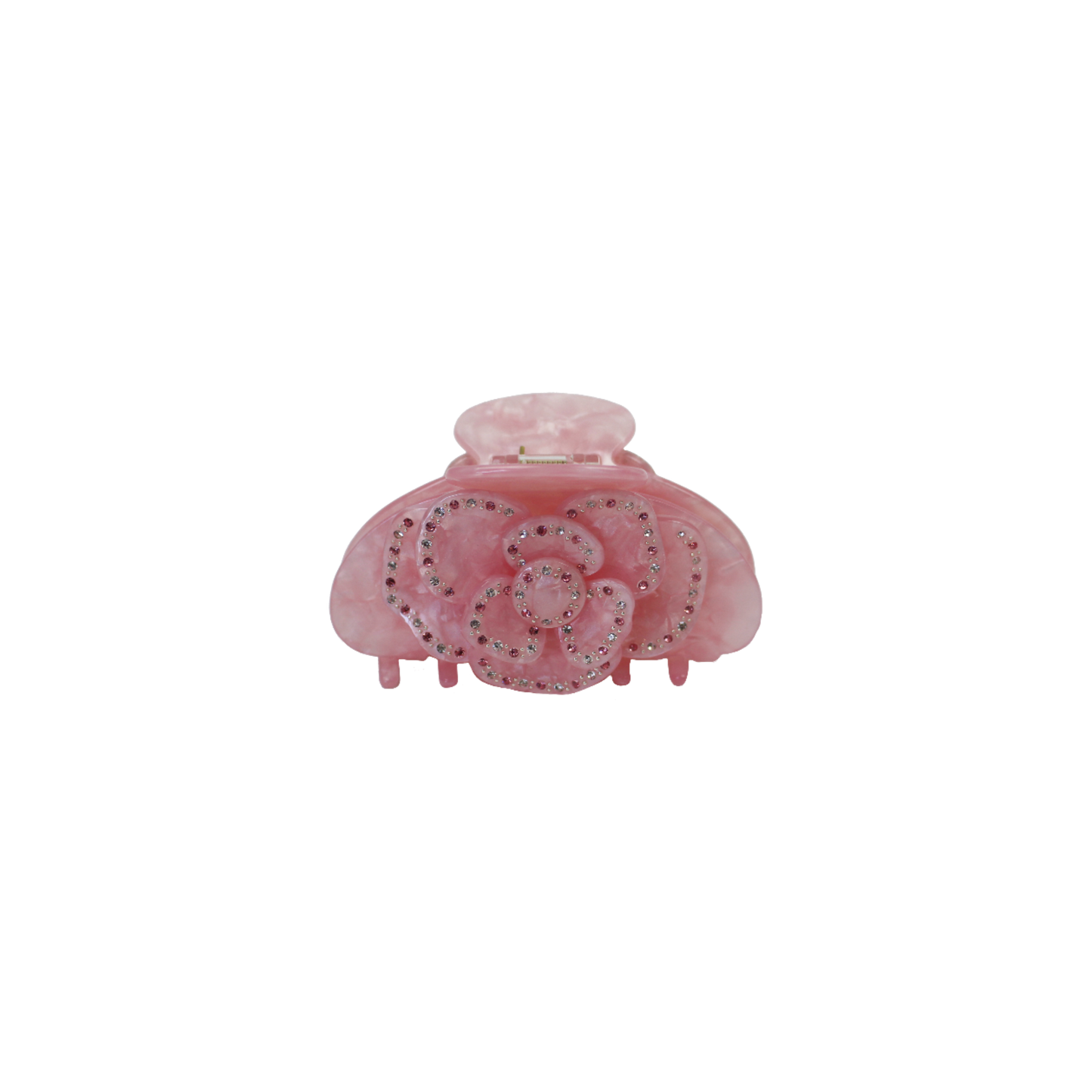 Rose Tiramisu  in Rose in Blush